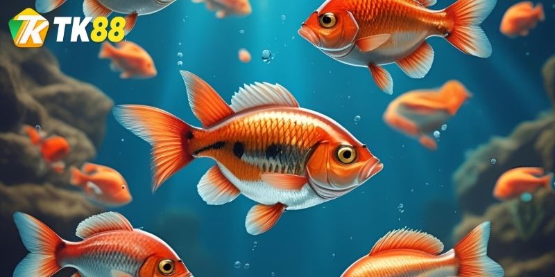 Tổng quan về chuyên mục bắn cá tại TK88