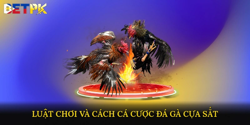 Luật chơi và cách cá cược đá gà cựa sắt
