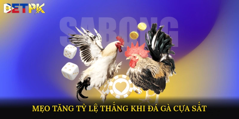 Mẹo tăng tỷ lệ thắng khi đá gà cựa sắt